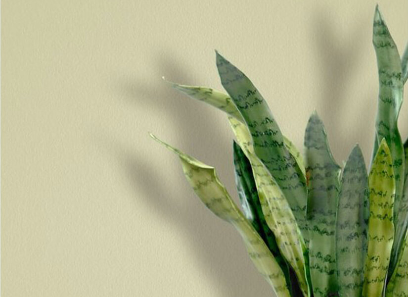 Однотонные обои под покраску — флизелин Wellton Fliz WF110