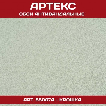 Артекс 55007А антивандальные