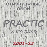Обои Practic Vlies Band 2001-25 винил на флизелине 25*1,06 м