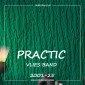 Виниловые обои на флизелиновой основе Practic 2001-25