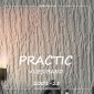 Обои под покраску Practic Vlies Band 2001-25