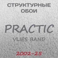 Обои Practic Vlies Band 2002-25 винил на флизелине 25*1,06 м