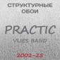 Обои Practic Vlies Band 2002-25 винил на флизелине 25*1,06 м