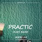 Флизелиновые обои Practic Vlies Band 2003-25