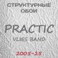 Обои Practic Vlies Band 2005-25 винил на флизелине 25*1,06 м