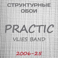 Обои Practic Vlies Band 2006-25 винил на флизелине 25*1,06 м