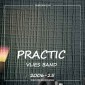 Виниловые обои на флизелиновой основе Practic 2006-25