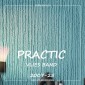 Виниловые обои на флизелиновой основе Practic 2007-25