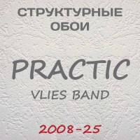 Обои Practic Vlies Band 2008-25 винил на флизелине 25*1,06 м