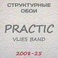 Обои Practic Vlies Band 2008-25 винил на флизелине 25*1,06 м