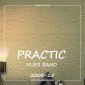 Виниловые обои на флизелиновой основе Practic 2008-25
