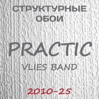 Обои Practic Vlies Band 2010-25 винил на флизелине 25*1,06 м
