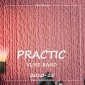 Обои Практик 2010-25 флизелиновые