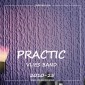 Виниловые обои на флизелиновой основе Practic 2010-25