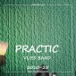 Флизелиновые обои Practic Vlies Band 2010-25