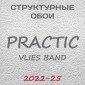 Обои Practic Vlies Band 2022-25 винил на флизелине 25*1,06 м