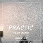 Обои под покраску Practic Vlies Band 2022-25