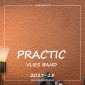 Виниловые обои на флизелиновой основе Practic 2027-25