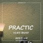 Флизелиновые обои Practic Vlies Band 2027-25