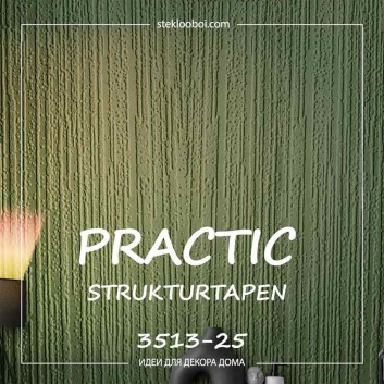 Виниловые обои на флизелиновой основе Practic 3513-25
