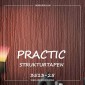 Флизелиновые обои Practic Strukturtapeten 3513-25