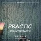 Флизелиновые обои Practic Strukturtapeten 3526-25