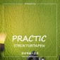 Флизелиновые обои Practic Strukturtapeten 3546-25