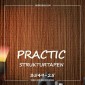 Виниловые обои на флизелиновой основе Practic 3549-25