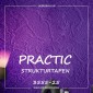 Виниловые обои на флизелиновой основе Practic 3555-25
