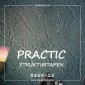 Флизелиновые обои Practic Strukturtapeten 3555-25