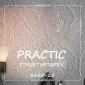 Обои под покраску Practic Strukturtapeten 3555-25