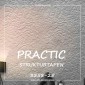 Обои под покраску Practic Strukturtapeten 3558-25