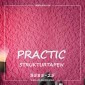 Виниловые обои на флизелиновой основе Practic 3585-25
