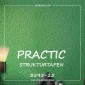 Виниловые обои на флизелиновой основе Practic 3595-25