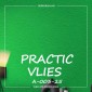 Виниловые обои на флизелиновой основе Practic А003-25