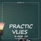 Виниловые обои на флизелиновой основе Practic А004-25