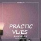 Виниловые обои на флизелиновой основе Practic А005-25