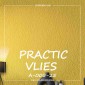 Флизелиновые антивандальные обои Practic Vlies А-005-25