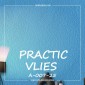 Флизелиновые антивандальные обои Practic Vlies А-007-25