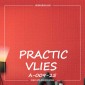 Виниловые обои на флизелиновой основе Practic А009-25