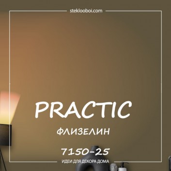 Флизелиновый холст Практик 7150-25