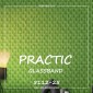 Стекловолоконные обои Practic 5112-25