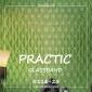 Стеклообои Practic GlassBand 5116-25