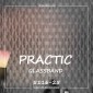 Стекловолоконные обои Practic 5116-25