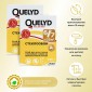 Клей для стеклообоев Quelyd сухой (до 35м²)