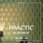 Стеклообои Practic GlassBand 5130-25