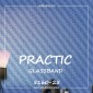 Стеклообои Practic Glass Band 5160-25 Диагональ