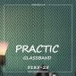 Стекловолоконные обои Practic 5185-25