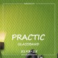 Стеклообои Practic GlassBand 5193-25