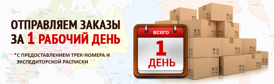Отправляем за 1 рабочий день